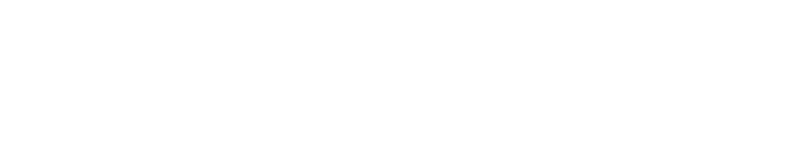 PIRAT REPUBLIK